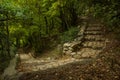 Forest woodland green scenery landscape path way with stairs and paves road for walking in fresh natural environment space Royalty Free Stock Photo