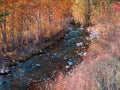 forest woods river creek stream red gold fall autumn changing colors leaves nature background Royalty Free Stock Photo