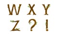 Forest woody alphabet. W,X,Y,Z letters and punctuation marks made of bent tree branches vector illustration