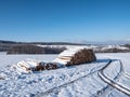 Forest work in winter tree trunks Royalty Free Stock Photo