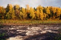 Forest with yellow trees in front of a wavy river with blue sky in the background Royalty Free Stock Photo