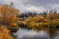 Forest with yellowed leaves on the banks of a small river and a cloudy gray sky on an autumn day in central Russia Royalty Free Stock Photo