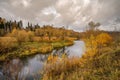 Forest with yellowed leaves on the banks of a small river and a cloudy gray sky on an autumn day in central Russia Royalty Free Stock Photo