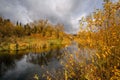 Forest with yellowed leaves on the banks of a small river and a cloudy gray sky on an autumn day in central Russia Royalty Free Stock Photo