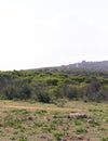 Foresta 2000 nature reserve on Marfa peninsula Malta