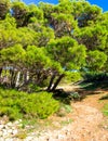 Foresta 2000 Nature Reserve on Marfa Peninsula Malta Royalty Free Stock Photo