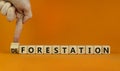 Forestation or deforestaion symbol. Ecologist turns wooden cubes and changes the word deforestation to forestation. Orange