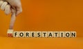 Forestation or deforestaion symbol. Ecologist turns wooden cubes and changes the word deforestation to forestation. Orange