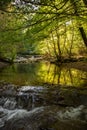 Foreste Casentinesi National Park Royalty Free Stock Photo