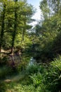 Foreste Casentinesi National Park Royalty Free Stock Photo