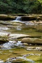 Foreste Casentinesi National Park Royalty Free Stock Photo