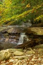 Foreste Casentinesi National Park Royalty Free Stock Photo