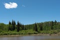 Forested Banks on the Shore of a Mountain Lake