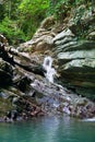 Forested cliffs covered with ivy and moss with flowing little waterfall