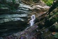 Forested cliffs overgrown with moss with waterfall flowing down