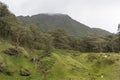 Pali Lookout Area Foothills on Oahu