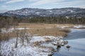 Forested hill with frozen reeds in swamp area with ice flÃÂ¤cje and reflection from sky