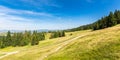 Forested hills of carpathian mountains Royalty Free Stock Photo