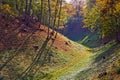 Forested hills in Viljandi Royalty Free Stock Photo