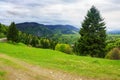 forested landscape of ukrainian mountains