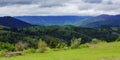 forested landscape of ukrainian mountains