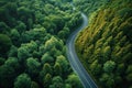 Forested landscape unfolds beneath as a sinuous road curves gracefully