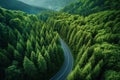 Forested landscape unfolds beneath as a sinuous road curves gracefully