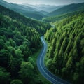 Forested landscape unfolds beneath as a sinuous road curves gracefully