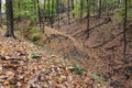 Small landslide and head scarp in a forested, leaf covered point at the confluence of 2 small streams