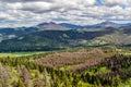 Forested Montana Mountain Scene Near Helena