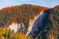 Forested mountain with cliff in autumn