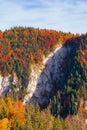 Forested mountain with cliff in autumn