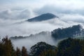 Forested mountain in the clouds