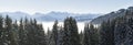 Forested mountain slope and mountain range panorama with snow in low lying valley fog with silhouettes of evergreen Royalty Free Stock Photo