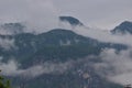 Forested mountain slopes and mountain ridges with silhouettes of evergreen coniferous trees shrouded in clouds and fog. Royalty Free Stock Photo