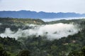 Forested Mountain Valley in the Cloud and Fog During Summer Scenic Natural Landscape View