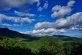 Forested mountains