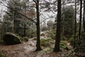 Forested rocky mountains near Broumov city in Czech republic