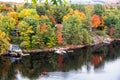 Forested shores of a lake in autumn