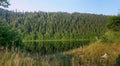 Forested slope above the quiet river in summer