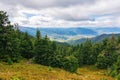 forested slopes of carpathian mountains Royalty Free Stock Photo