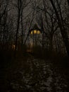 Forested trail at night with Prospect Park tower Royalty Free Stock Photo