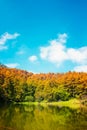 Forester canal scene over blue sky nature background