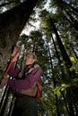 Forester in a Pacific Northwest