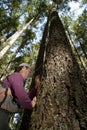 Forester in a Pacific Northwest