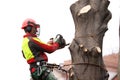 Forester at work Royalty Free Stock Photo