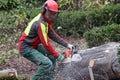 Forester at work Royalty Free Stock Photo