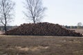 Forestry Fischbeker Heide