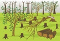 Forestry Industry Wood Logging Vector Illustration