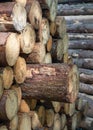 Forestry, log piles close up Royalty Free Stock Photo